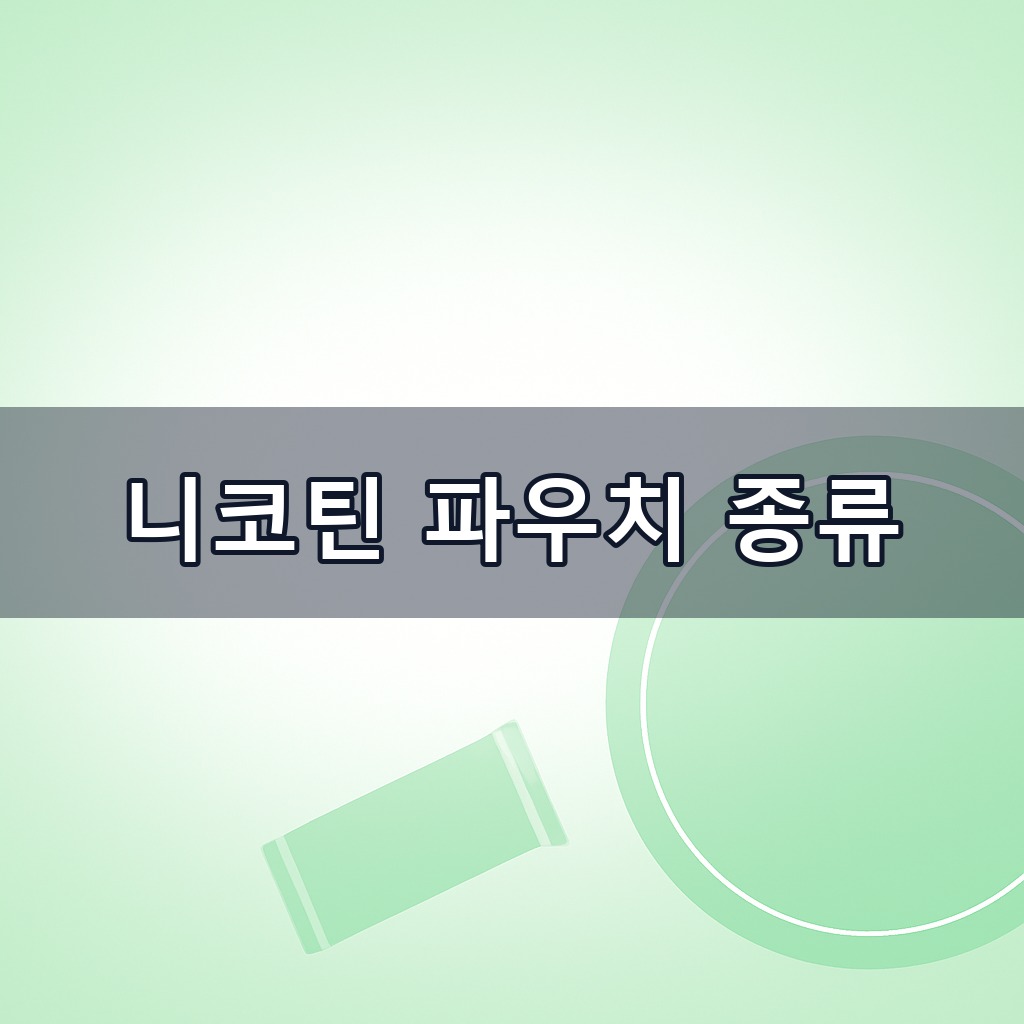 니코틴 파우치 종류