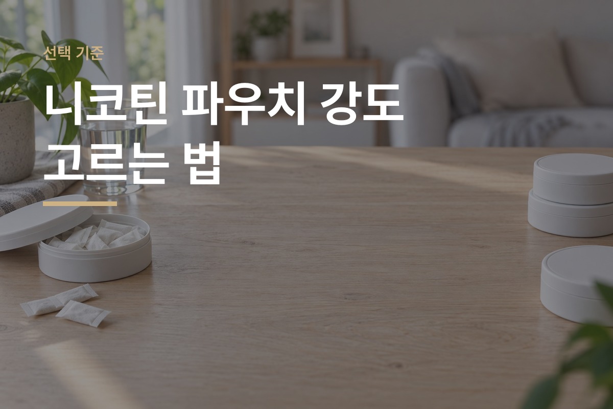 니코틴 파우치 강도 고르는 법 함량 표기 읽기부터 낮은 단계 시작까지