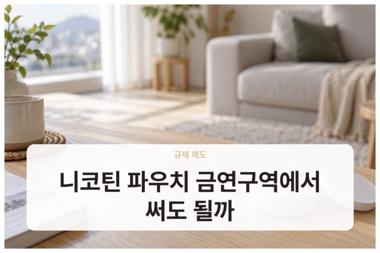 니코틴 파우치 금연구역