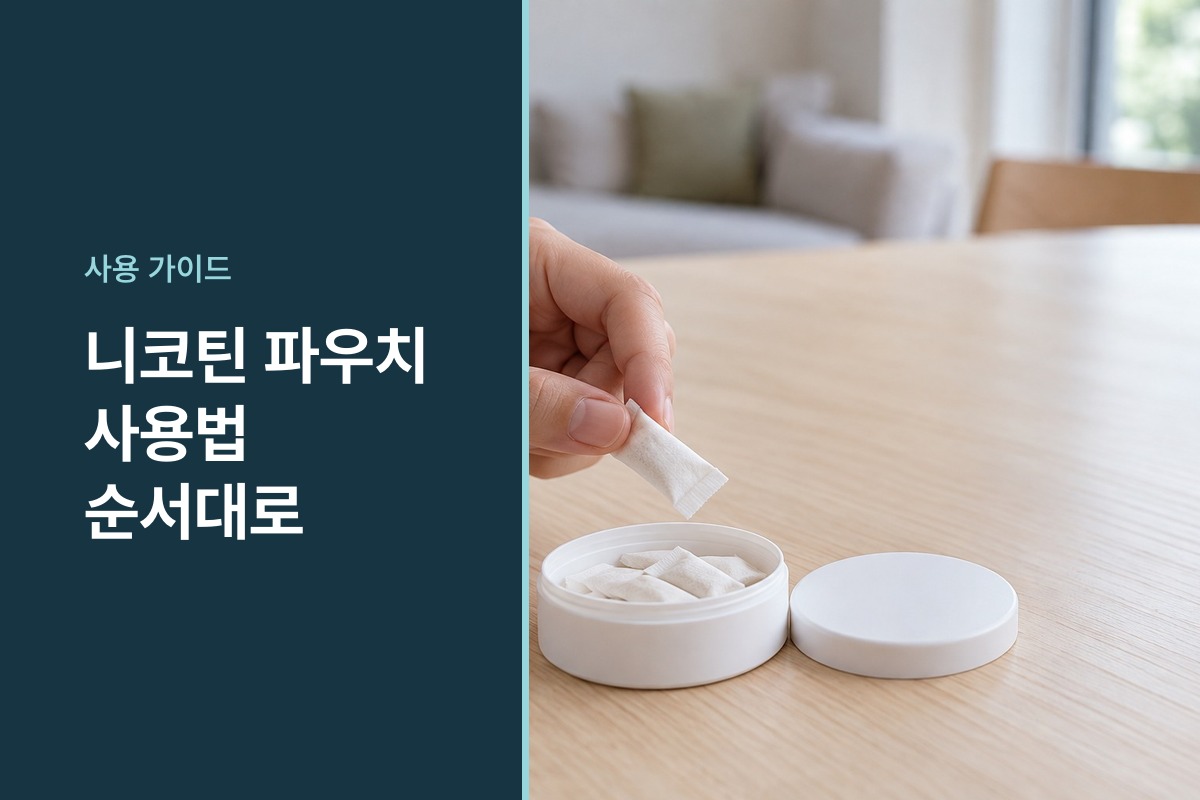 니코틴 파우치 사용법
