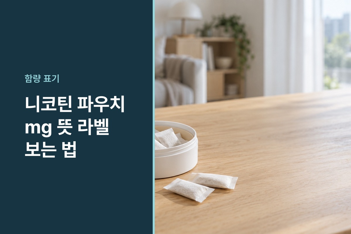 니코틴 파우치 mg 뜻
