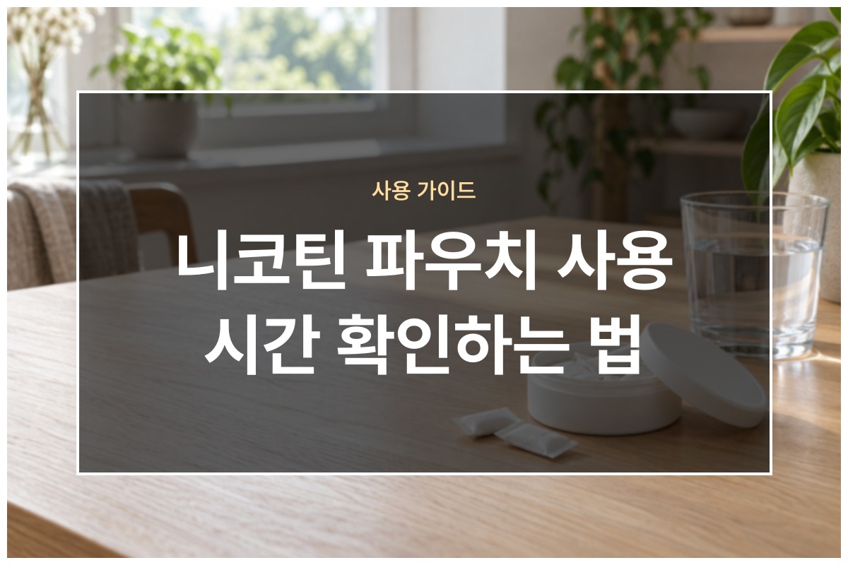 니코틴 파우치 사용 시간 확인하는 법과 오래 물고 있으면 생기는 일