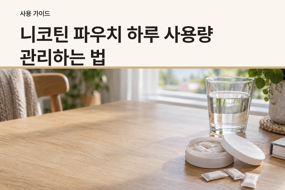 니코틴 파우치 하루 사용량 관리하는 법 기록과 사용 간격으로 늘어나는 신호 알아차리기